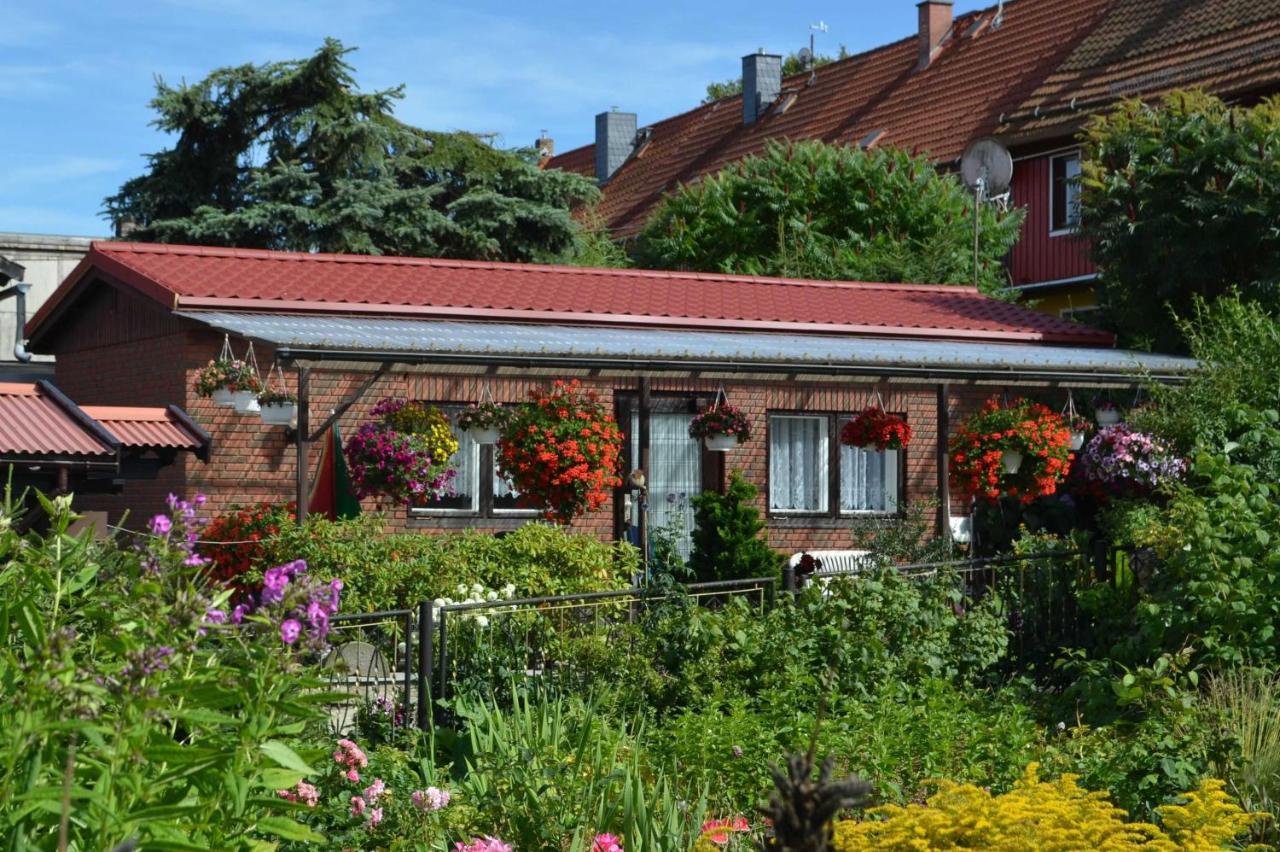 Bungalow Weidling Hasselfelde Exteriör bild